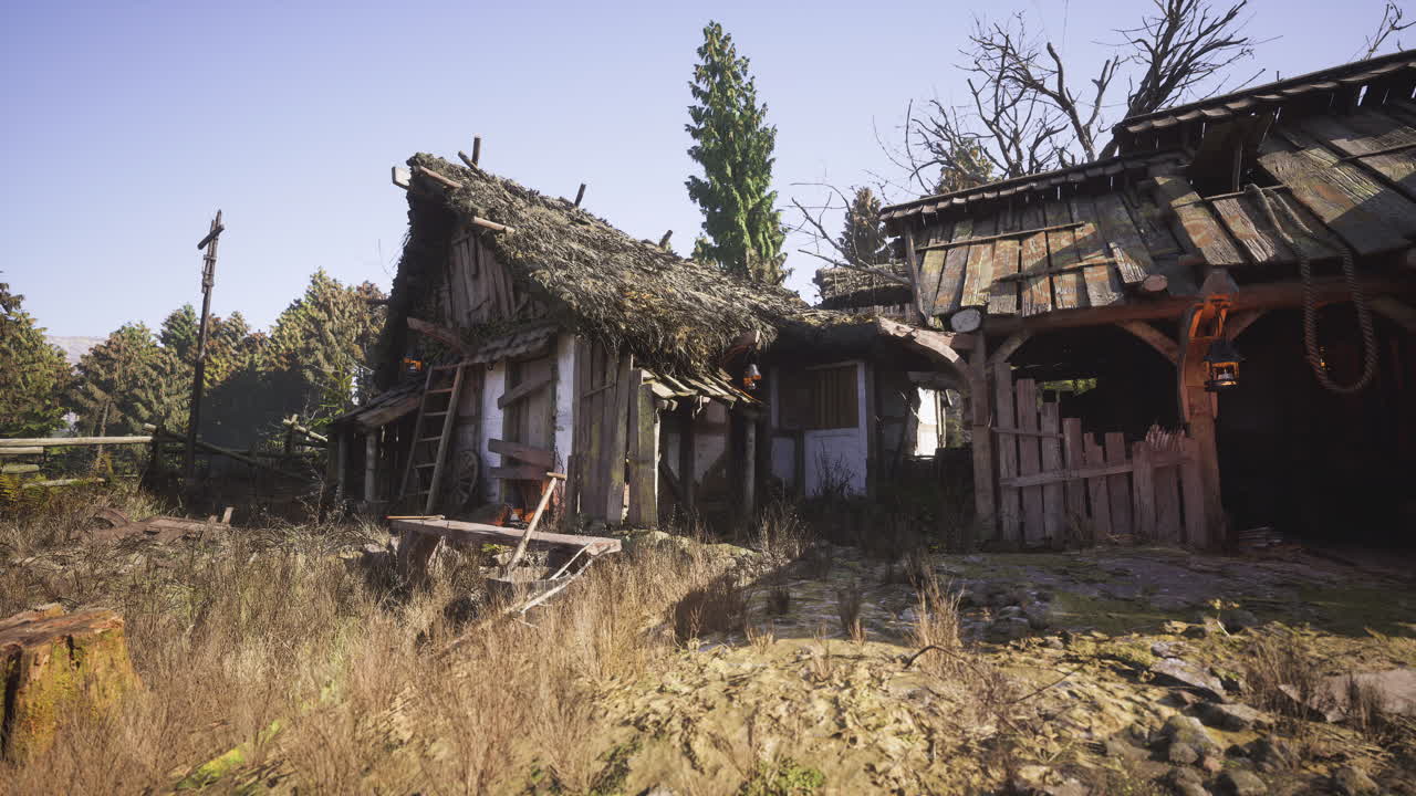 Abandoned rustic cottage in a forest during daylight hours