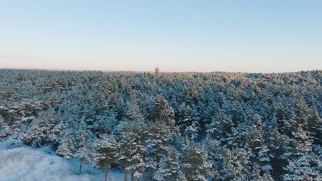 Imágenes-Aéreas-De-árboles-Cubiertos-De-Nieve,-Día-Soleado-De-Invierno-Antes-De-La-Puesta-Del-Sol,-Hora-Dorada,-Faro-Rojo,-Bosque-De-Pinos-Nórdicos,-Costa-Del-Mar-Báltico,-Amplia-Toma-De-Drones-Avanzando