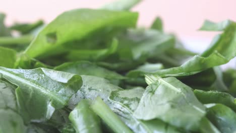 close up of fresh chopped spinach