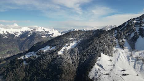 Vista-Panorámica-Aérea-De-Montañas-Cubiertas-De-Nieve-Y-Bosques-De-Pinos-Al-Mediodía,-Naturaleza-Serena