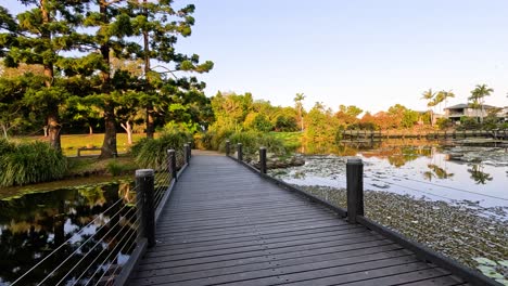 wooden bridge over pond with lush greenery