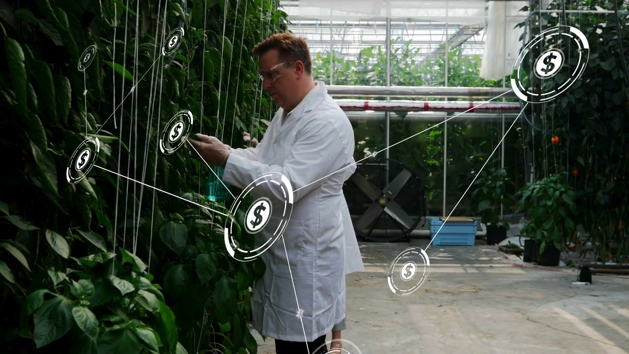 Researcher touching vines in greenhouse, causing money icons multiplying and linking into value net
