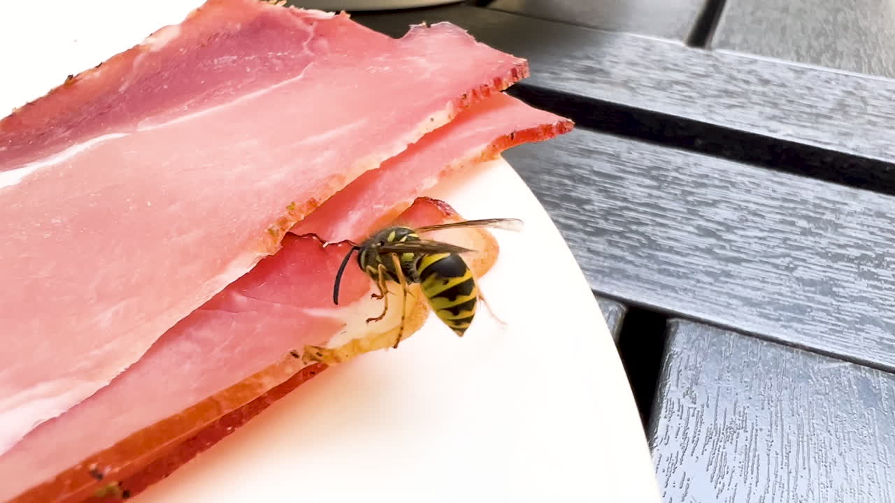primer plano de una avispa posada en un jamón curado en rodajas delgadas en un plato