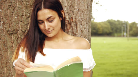 pretty brunette reading in the park