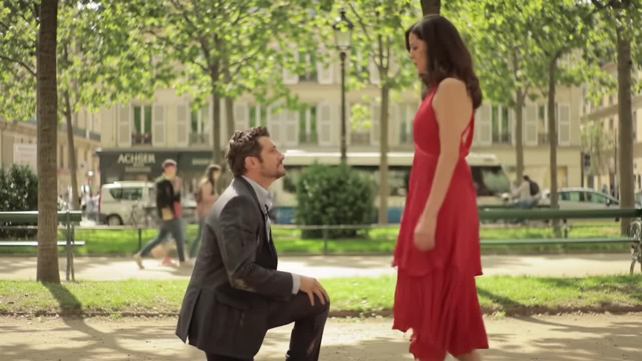A romantic proposal takes place in a green park filled with trees.
