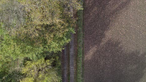 Draufsicht-Drohnenaufnahmen-Von-Landstraße-Und-Baum-Mit-Herbstfarben,-Aufgenommen-Am-Ort-Uetz-In-Brandenburg,-Deutschland