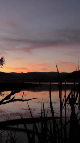 escena de la naturaleza en sudáfrica al atardecer