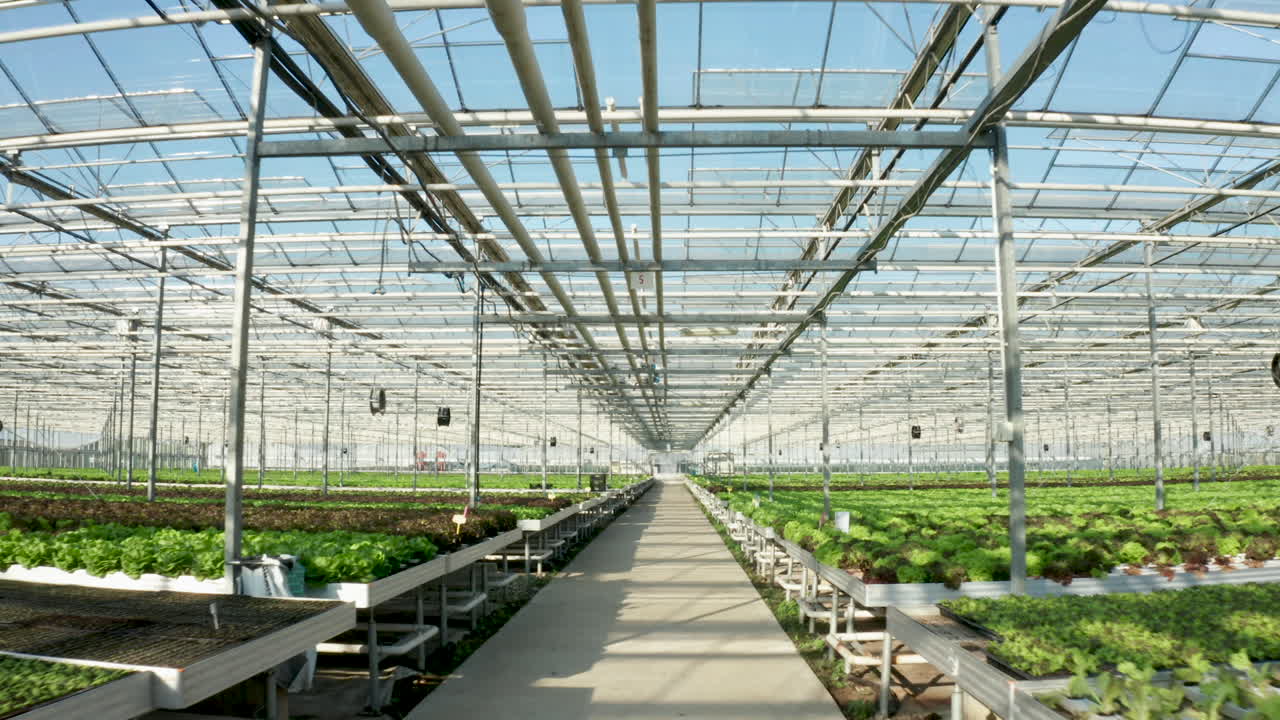 Inside a Modern Greenhouse