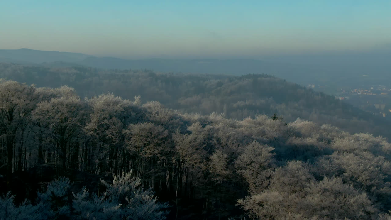 이른 따뜻한 햇빛 유럽 도시와 추운 겨울 아침에 소나무 숲의 공중 전망