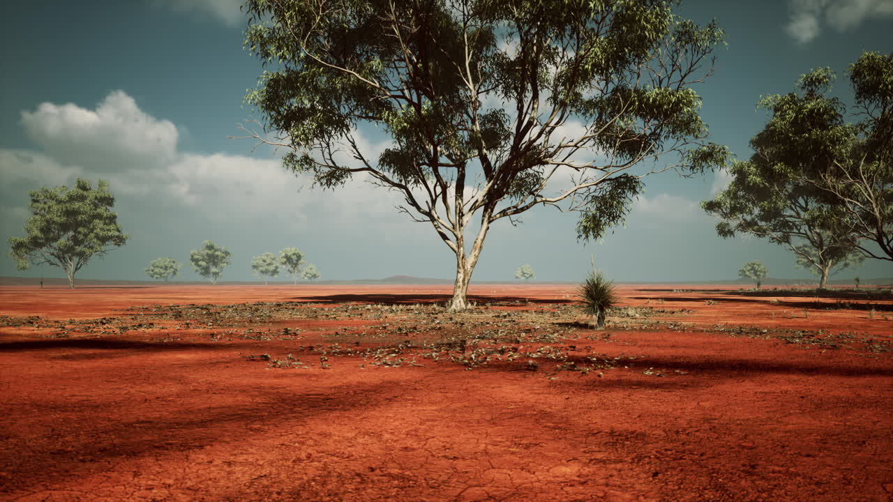 paisaje árido del interior de australia