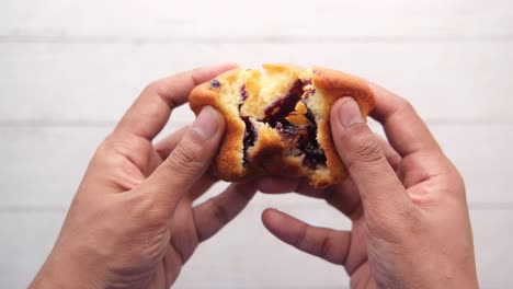 person holding a broken blueberry muffin