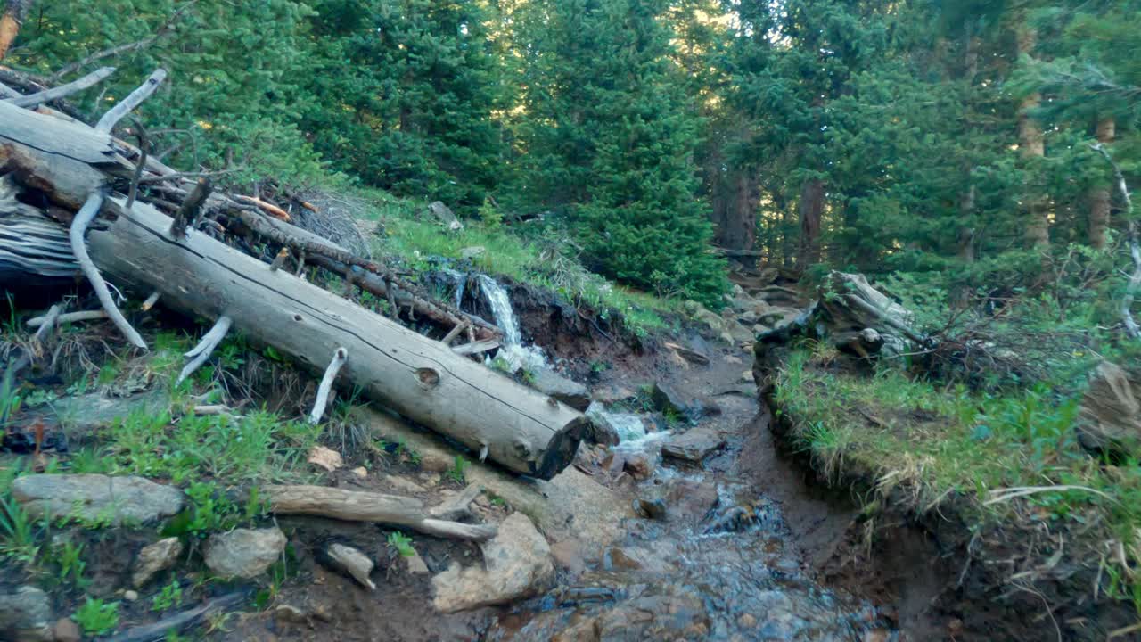 los excursionistas ven caminar por un sendero con un arroyo que corre hacia y a lo largo del sendero