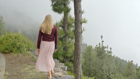 happy adventurer woman walking on mountain top, back view