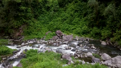 riachuelo en cascada aguas yungas reserva, tucuman