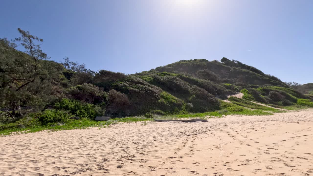 언덕 과 식물 이 있는 조용 한 해변
