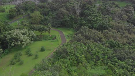 Hoʻomaluhia-Botanical-Garden-and-it's-vibrant-flora-and-fauna,-and-epic-scenery-straight-from-Jurassic-Park