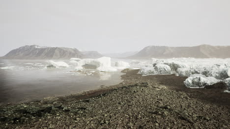 blue icebergs of antarctica with frozen and snow covered antarctic scenery