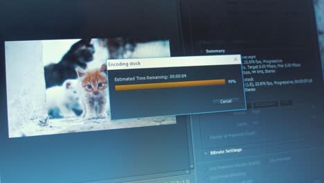 laptop screen showing an edited cat video rendering to completion