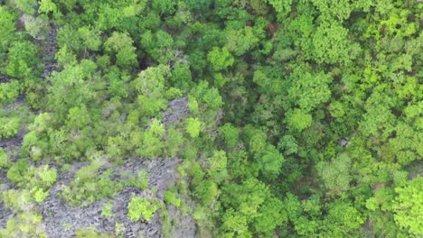 Aerial-view-of-limestone-karst-scenery-and-turquoise-ocean-water-in-Coron-Island,-Palawan,-Philippines