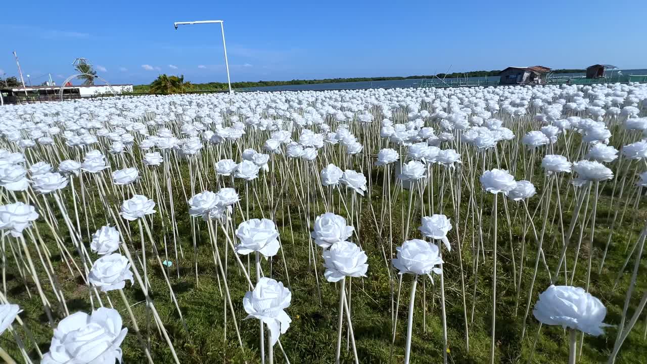 A scenic LED rose field by the seaside, glowing in natural daylight—perfect for romance, art, or futuristic landscape-themed footage