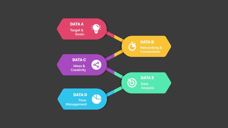 Data Analysis and Management Process
