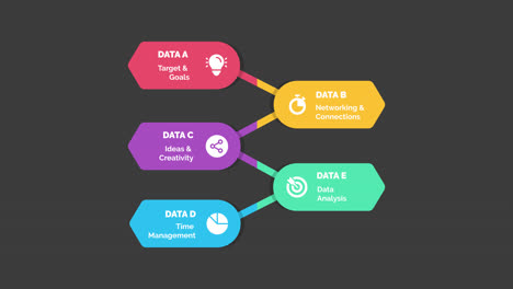 Data Analysis and Management Process