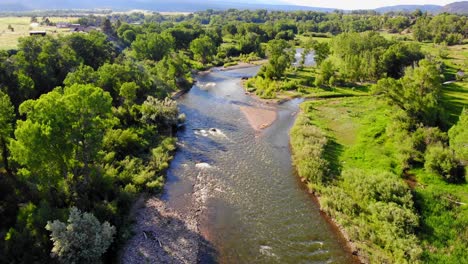 Arroyo-De-Río-Poco-Profundo-Que-Fluye-A-Través-Del-Exuberante-Follaje-Verde-De-La-Campiña-De-Colorado