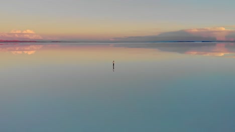 Aerial-of-a-lone-figure-standing-mirrored-reflection-of-the-world's-largest-salt-flat-at-dusk-in-Uyuni-Salt-Flats-,-Bolivia