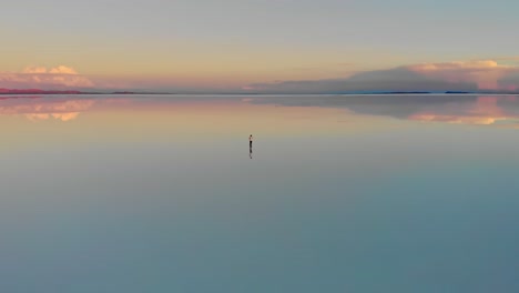 aerial of a lone figure standing mirrored reflection of the world's largest salt flat at dusk in uyuni salt flats , bolivia