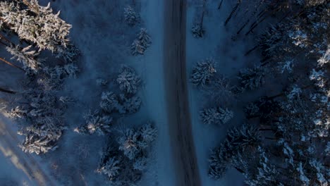 slowly flying towards the above country road in the middle of the cold snowy winter forest