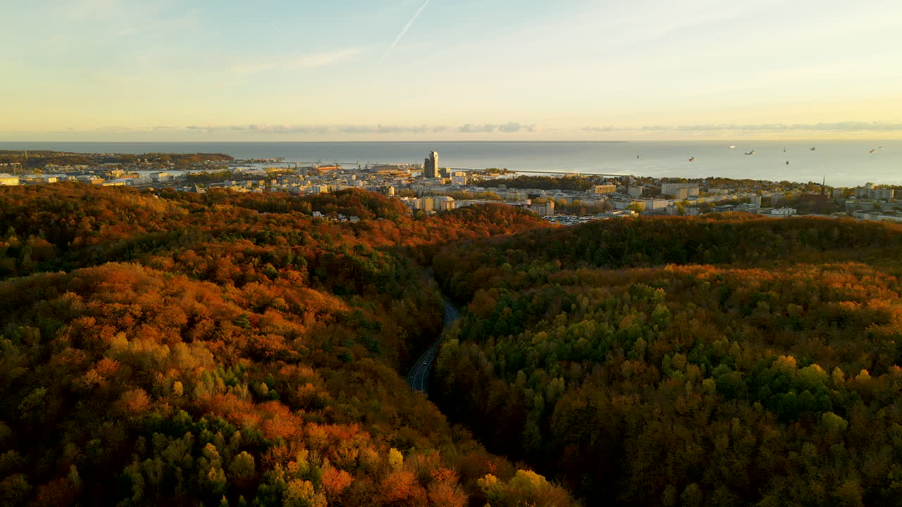 exuberante bosque colorido al amanecer durante la temporada de otoño en gdynia, polonia