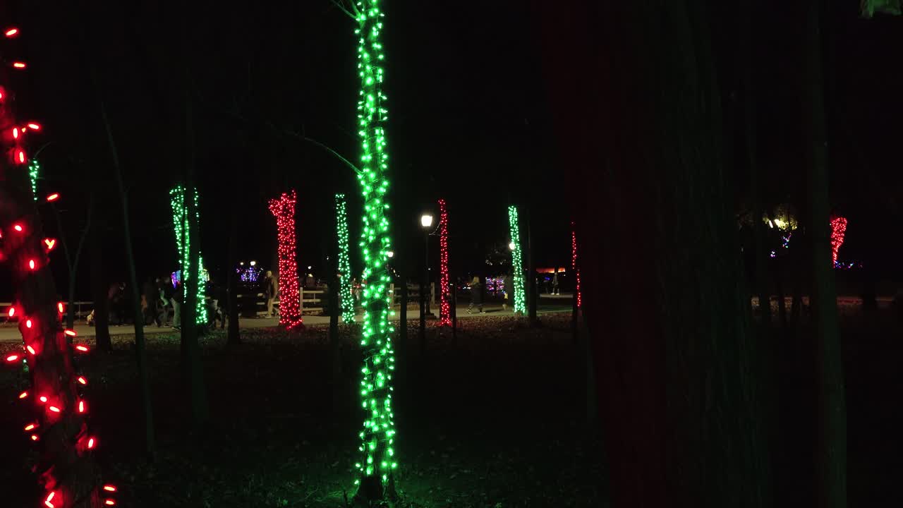 grupos de personas caminando por los árboles del bosque decorados con luces navideñas brillantes por la noche