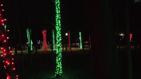 Grupos-De-Personas-Caminando-Por-Los-árboles-Del-Bosque-Decorados-Con-Luces-Navideñas-Brillantes-Por-La-Noche