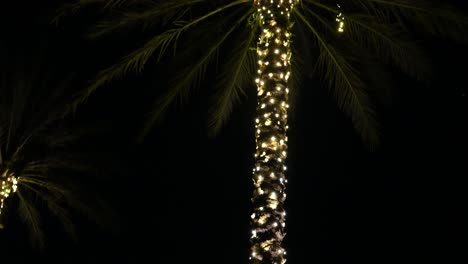 Las-Celebraciones-Navideñas-Del-Sur-De-Florida-Comienzan-Con-Una-Palmera-Decorada-Con-Gotas-De-Luz