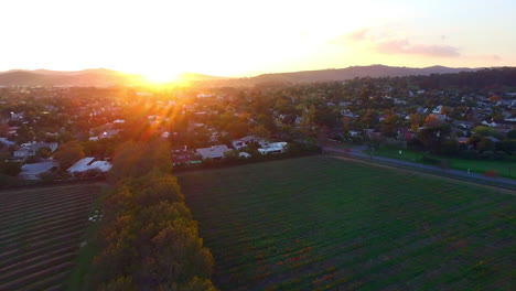 An-aerial-view-the-farm