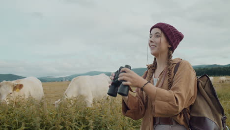 tourist looking through binoculars by cows in meadow