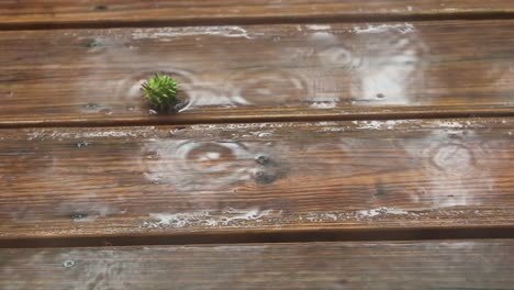 Lluvia-Cayendo-Sobre-Cubierta-De-Madera-De-Cerca