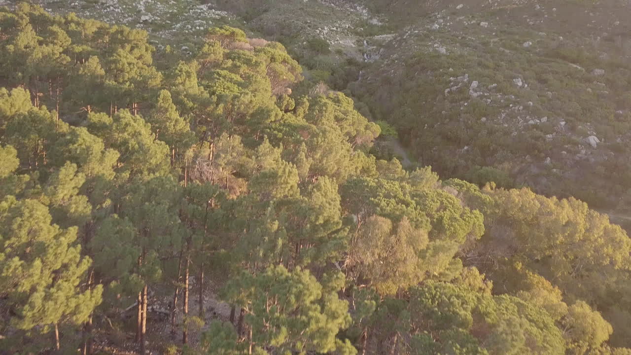 La natura è semplicemente splendida