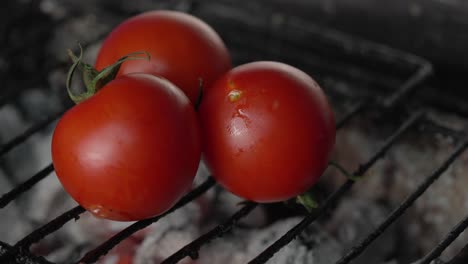 cook puts tomatoes on charcoal fire grill to prepare healthy mediterranean cuisine