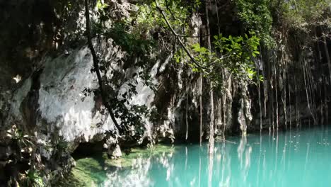 Cenote-06