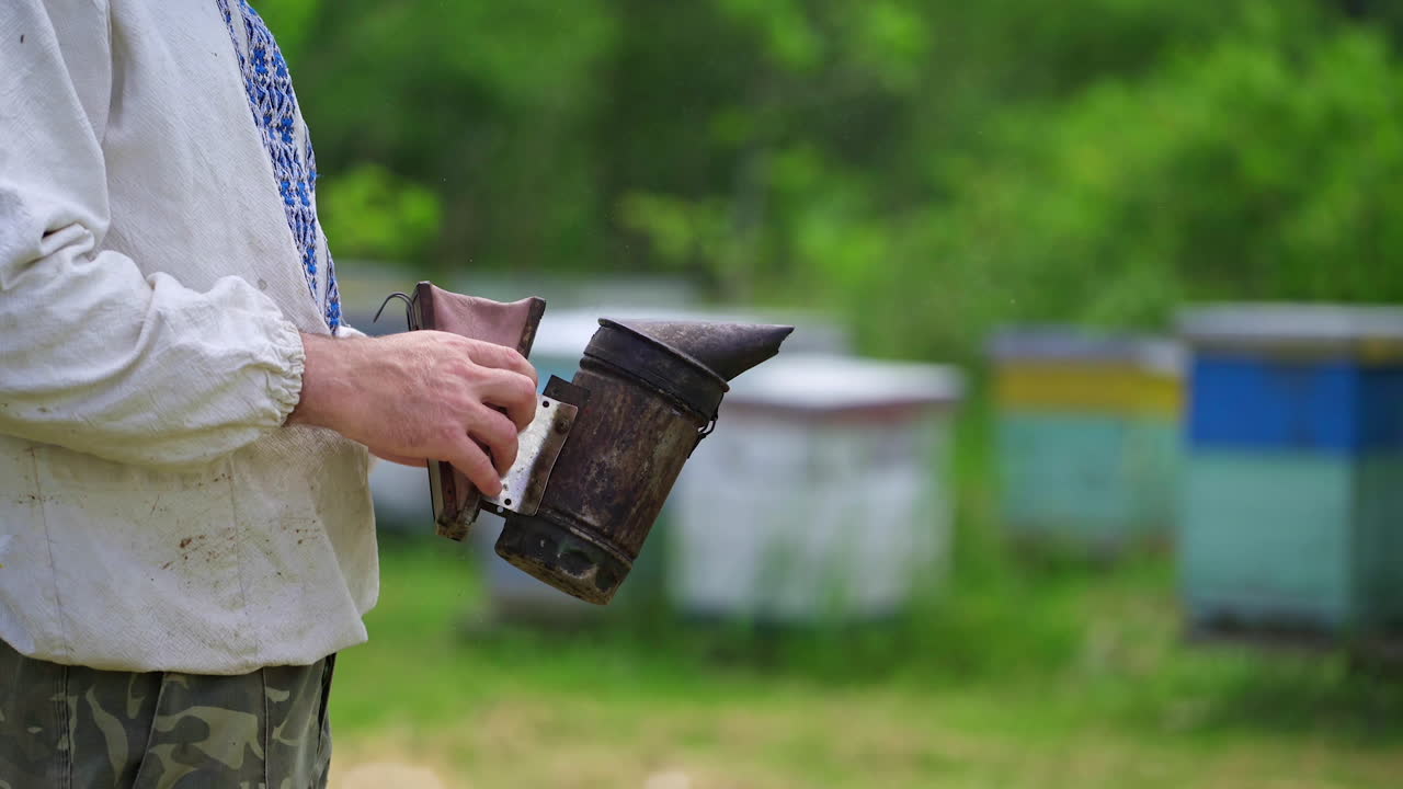 Beekeeper works with a chimney. Smoker in hands of apiarist on beehives background in summer. Apiarist concept.