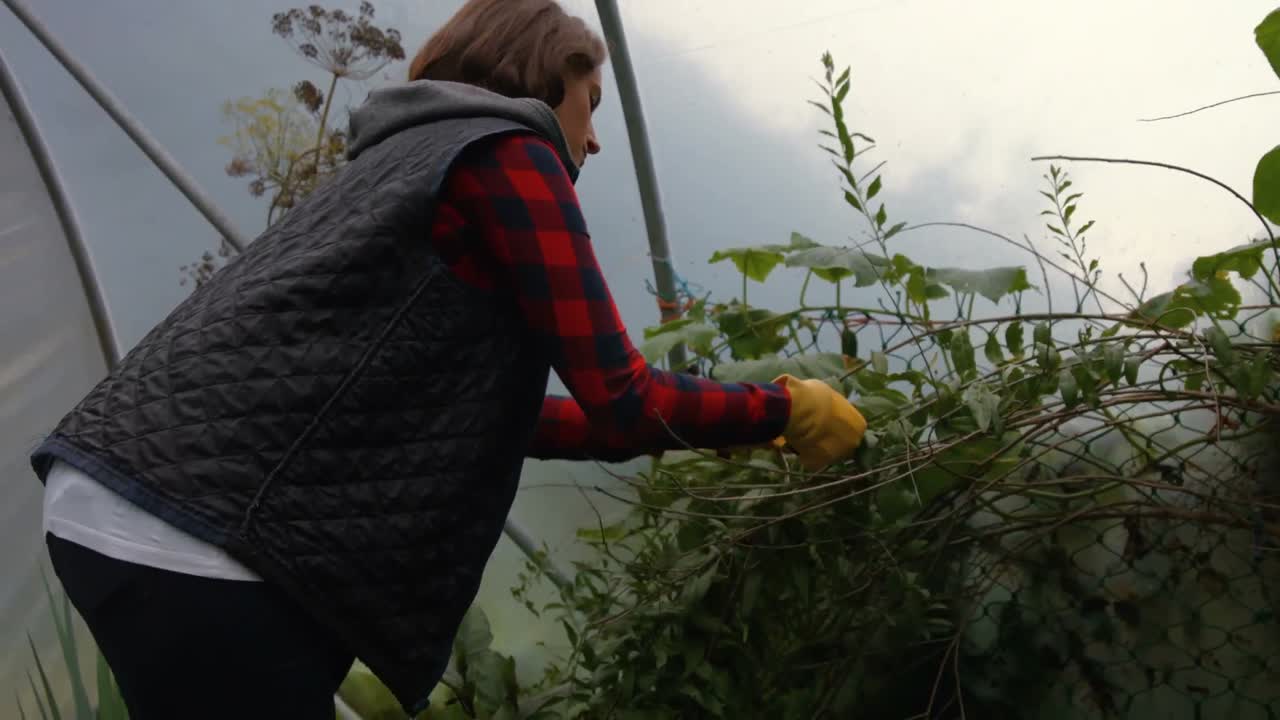 mujer joven jardinería bonita
