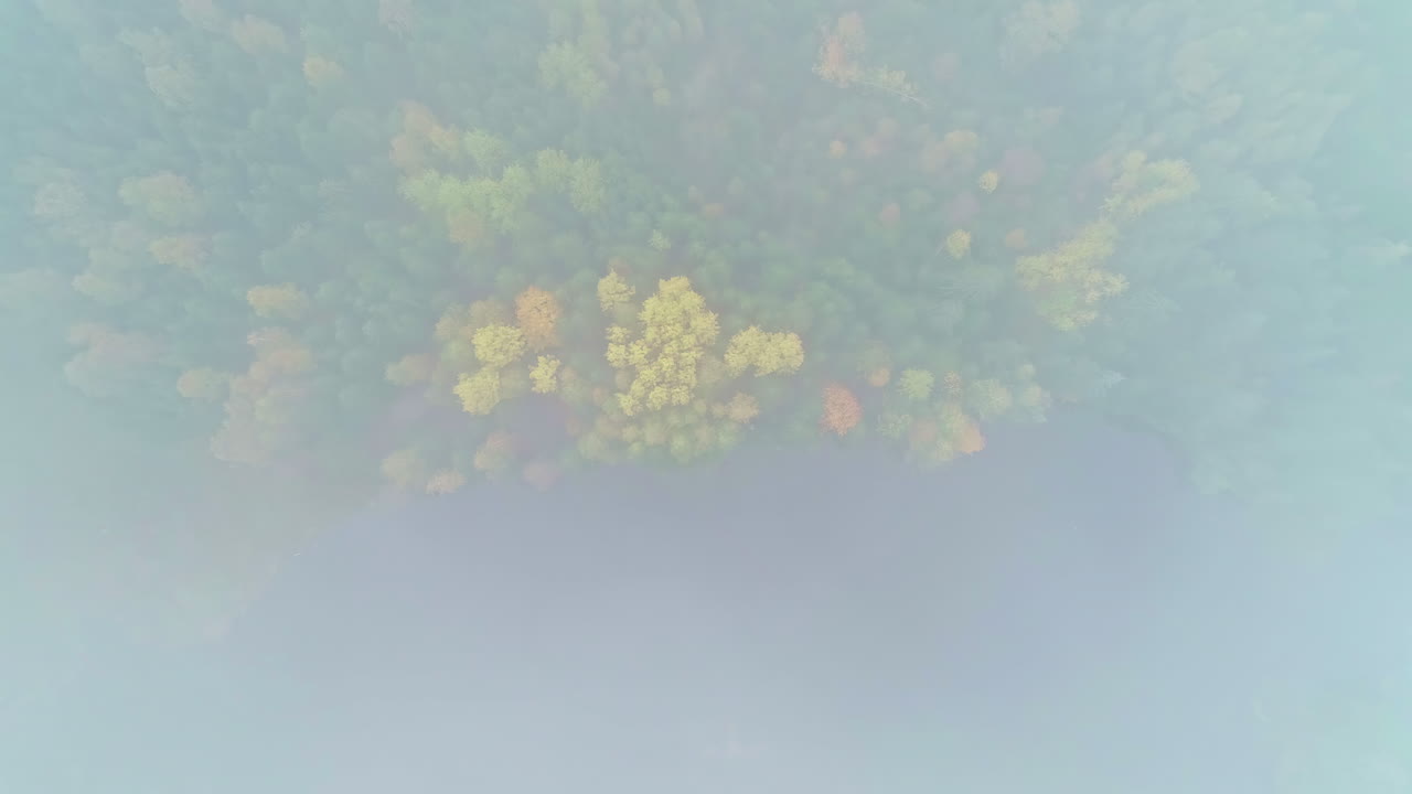 하향식 드론 샷 하얀 눈으로 덮인 나무