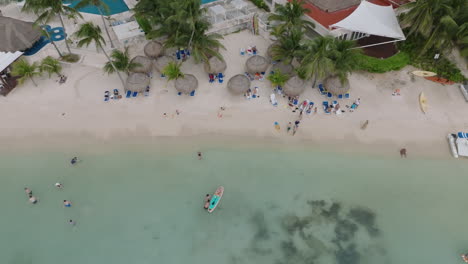 a stunning high-angle drone shot of a vast group enjoying a sunny day at the beach, beneath a majestic palm trees, with a crystal-clear turquoise sea and coral reefs in the background