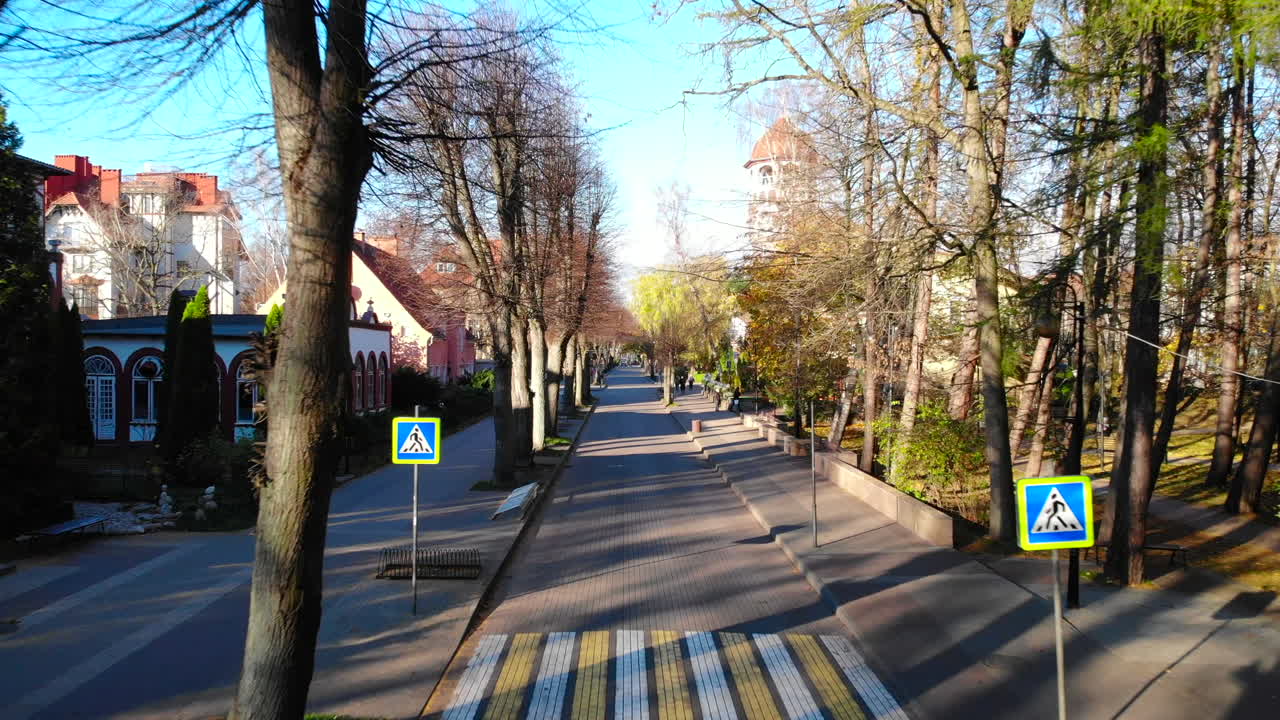 Street with Trees and Buildings