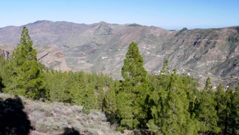 tilt up over a desertic valley in gran canaria, canary islands, spain