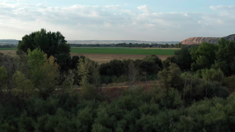 madrid, españa - exuberante campo agrícola europeo, drone aéreo 4k