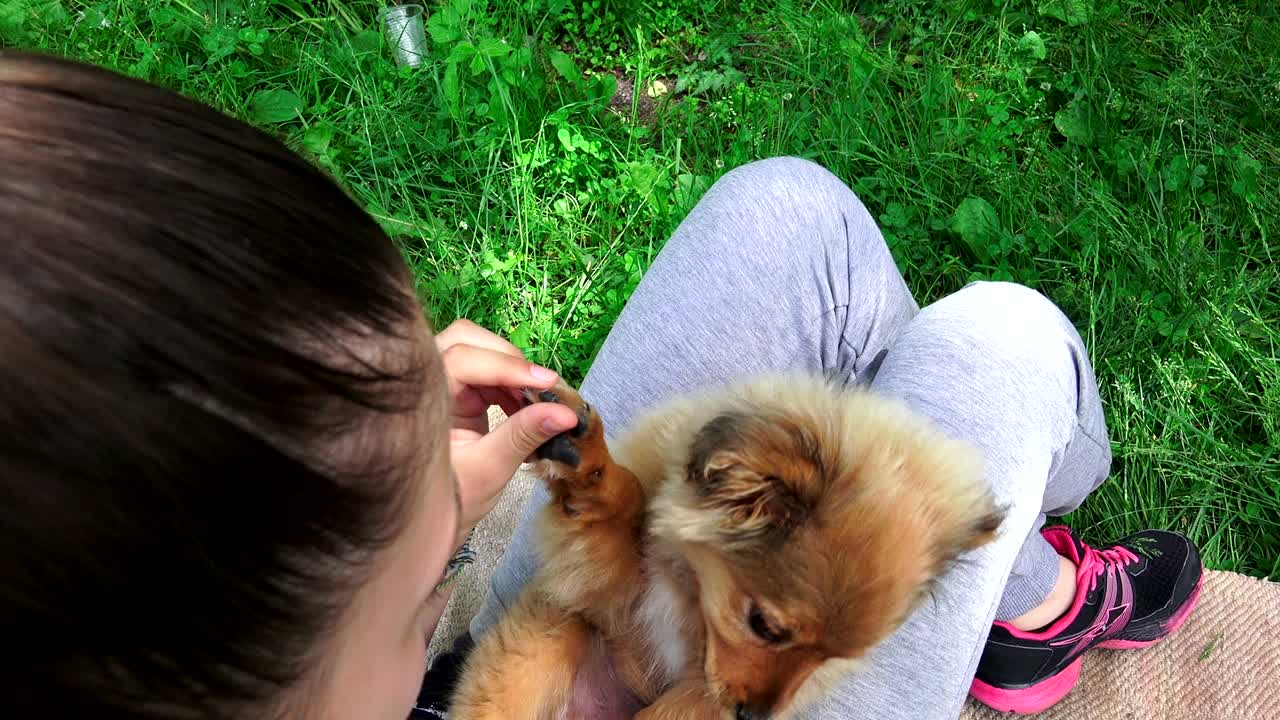 그녀의 구에 누워있는 강아지와 놀고 있는 소녀