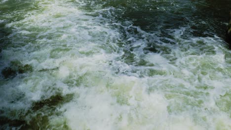 roaring rough white water moves quickly in a busy river