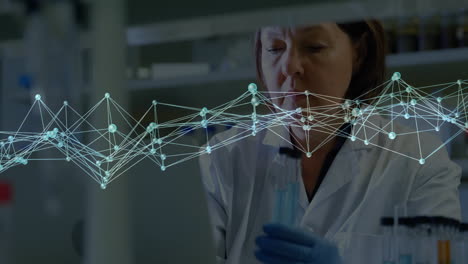 tubo de ensayo de examen, científico en el laboratorio con conexiones de red animación